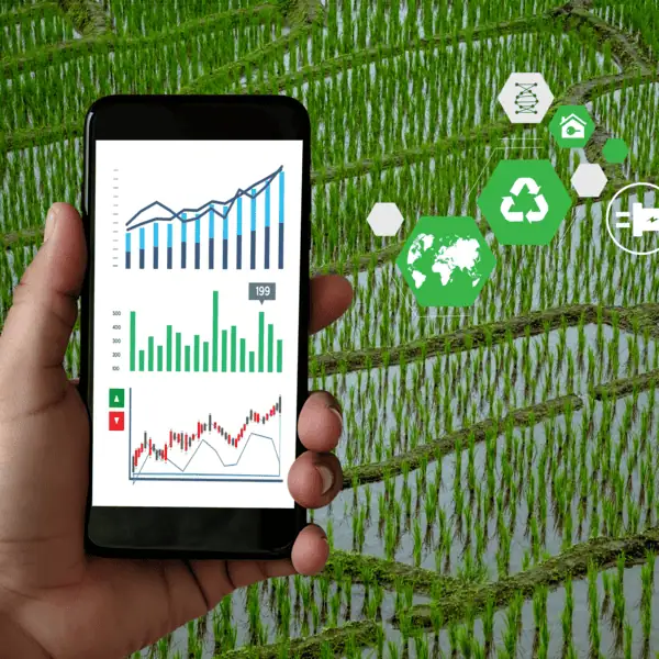 Farm Analytics Dashboard