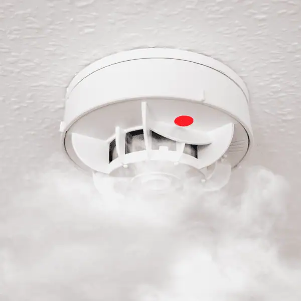 Fire Detection