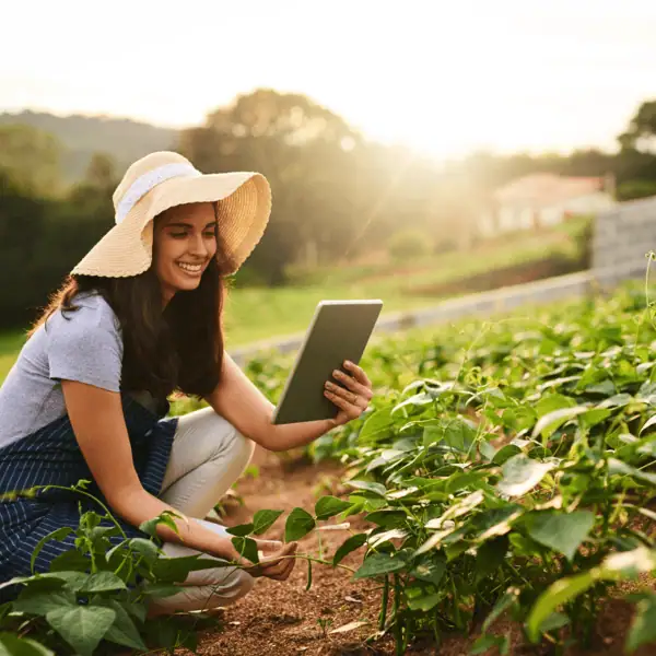 Mobile Farm Management