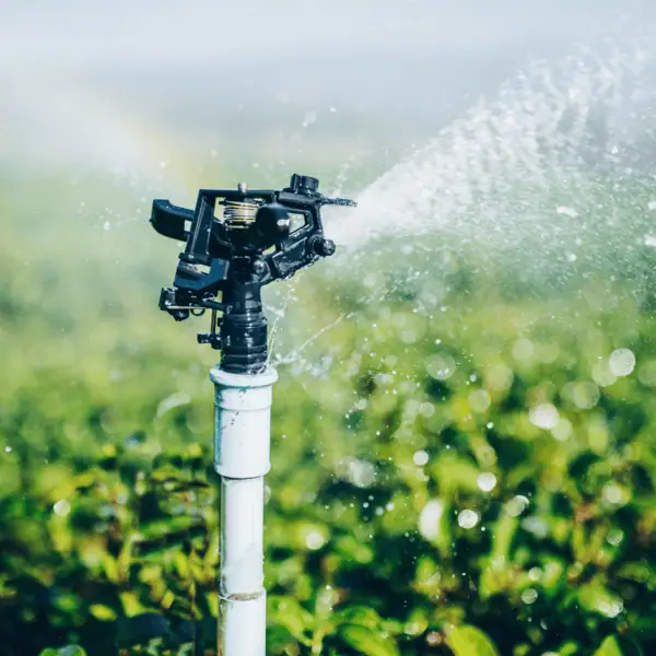 Precision Irrigation Management