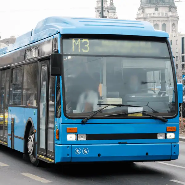 Public Transportation